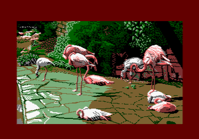 Flamingo par Jill Lawson, image en mode 1 picture sur Amstrad CPC